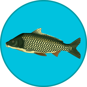 ВЗЛОМ Реальная Рыбалка ВЗЛОМ Реальная Рыбалка